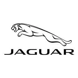 Logo Metafórico - Jaguar